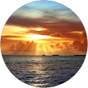 Diony Hernandez profile picture